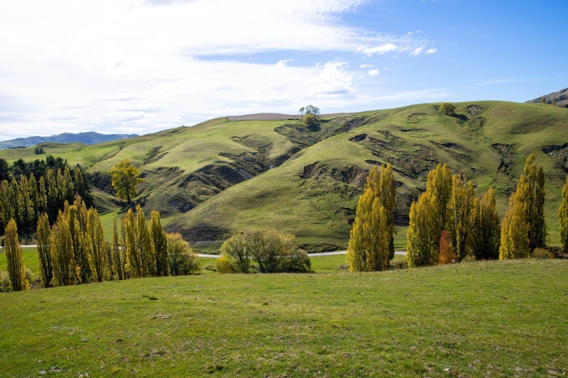 Image 1 of 30