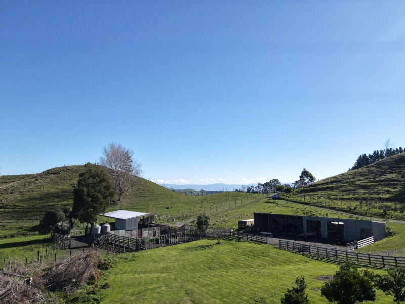 Image 3 of 49