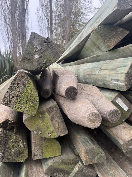 Posts - 3.6m 1/4 rounds Carousel 6
