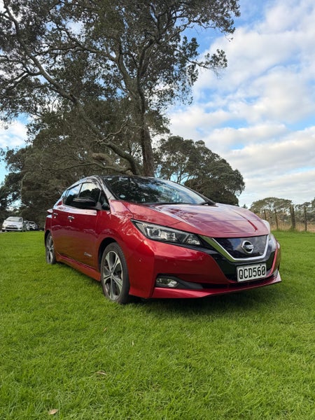 2017 Nissan Leaf445348231533701123