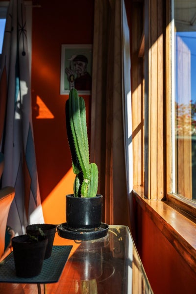 gallery carousel 40