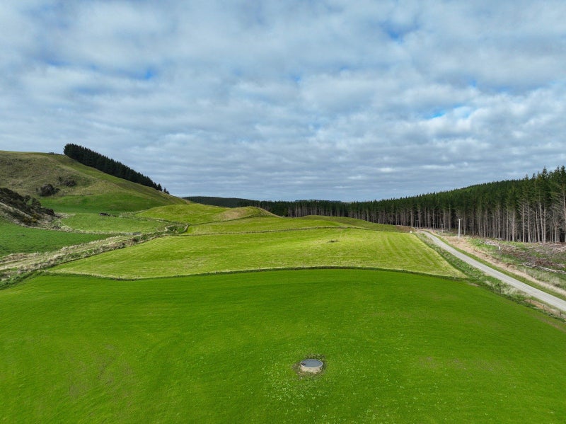 Image 1 of 12