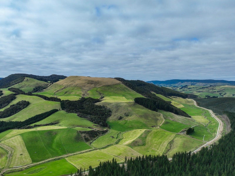 Image 2 of 12