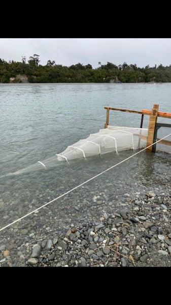 Whitebait Stand - Taramakau WEST COAST Carousel 2