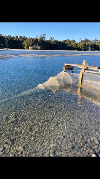 Whitebait Stand - Taramakau WEST COAST Carousel 1