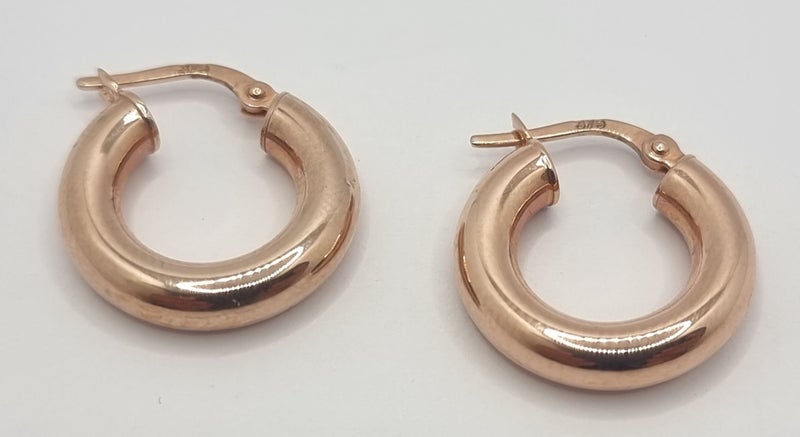 9CT RG HOOP EARRINGS #B21126580-1 Carousel 1
