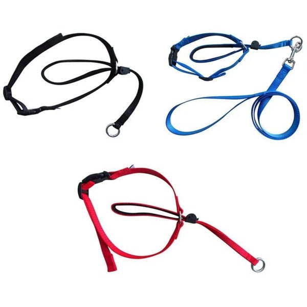 Gentle Leader Harness Dog Halter Halti Training Head Collar Nylon Breakaw Carousel 1