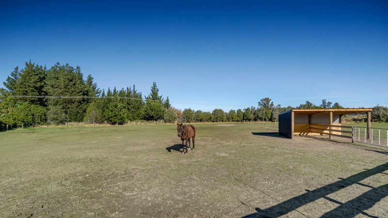 gallery carousel 25