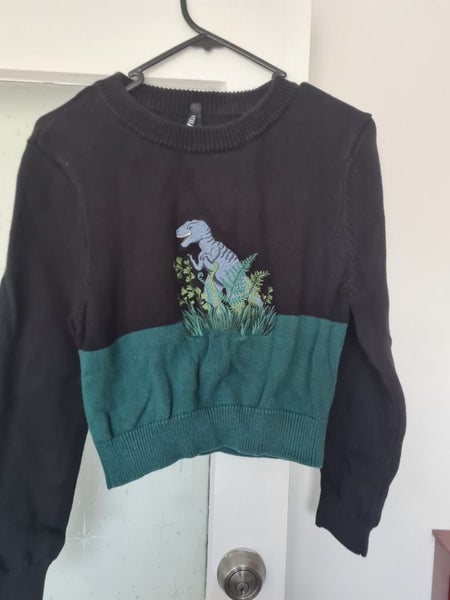 Dangerfield 100% cotton dinosaur jersey Carousel 1