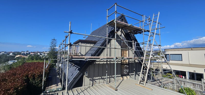 Auckland / ROOF NEEDING SOME LOVE ?%100 waterproof Carousel 20
