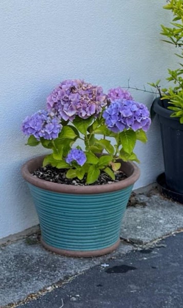 Coloured pots x 4 Carousel 3