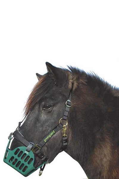 BREAKAWAY HALTER GREENGUARD Carousel 1
