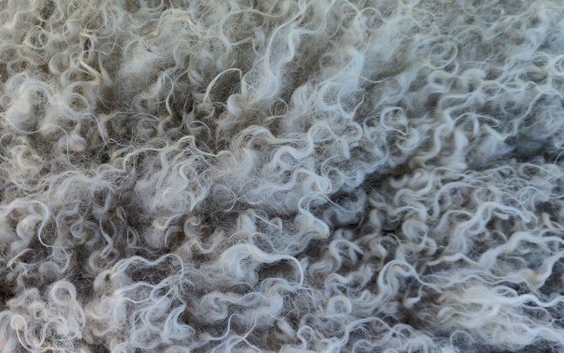 ORGANIC Wool - Natural Grey - Carded - 1kg Carousel 2