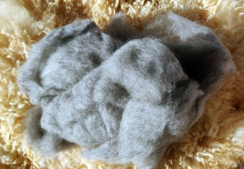 ORGANIC Wool - Natural Grey - Carded - 1kg Carousel 1