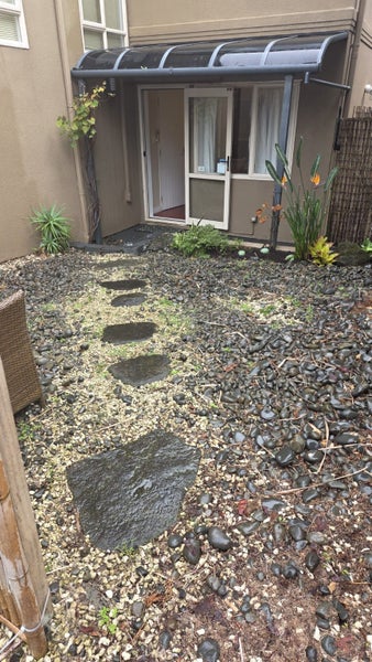Image 1 of 24