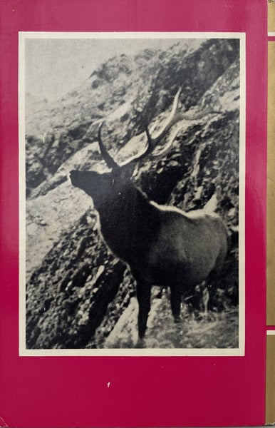WAPITI in New Zealand by D. Bruce Banwell 1966 1st edition Carousel 2