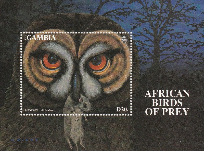 Gambia 1993 Owl MS MNH #16412 Carousel 1