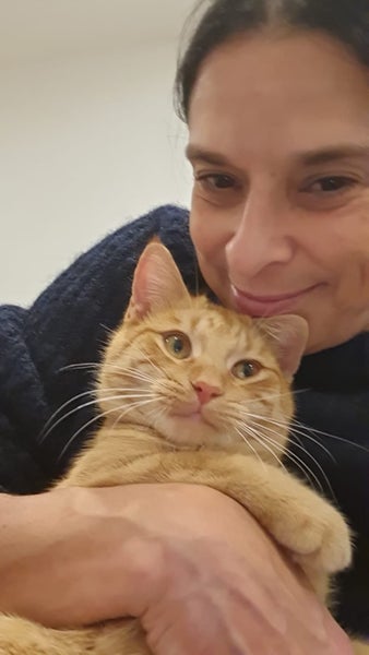 Ninja Ginger Boy desexed 6 months old Carousel 2