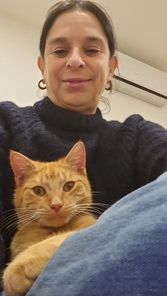 Ninja Ginger Boy desexed 6 months old Carousel 3