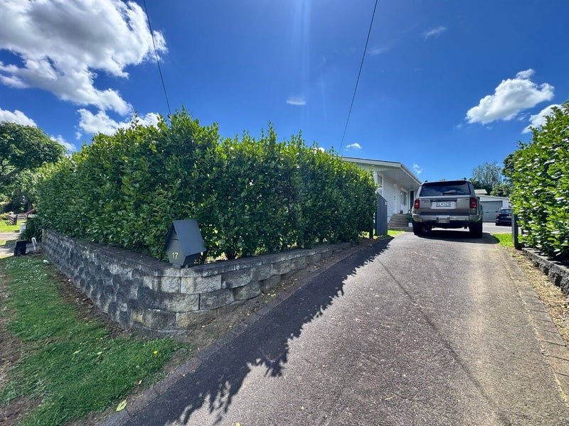 Image 1 of 17