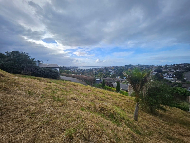 Image 1 of 8