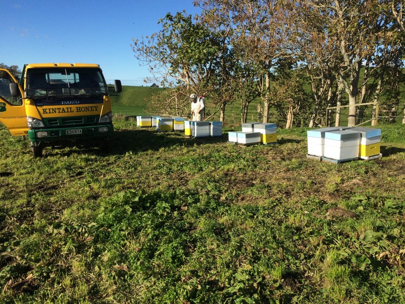 Kintail Honey Te puke Ltd Carousel 3