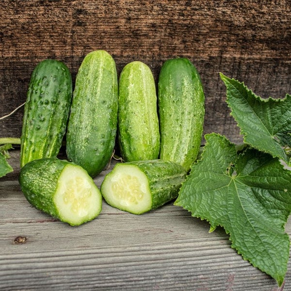 Cucumber Homemade Pickles - Gherkin Carousel 1