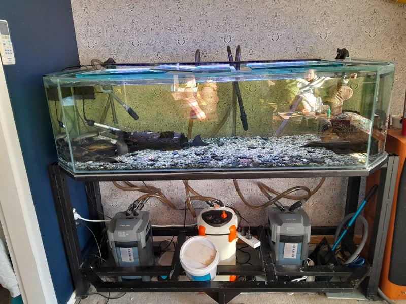 Fish tank system plus fish Carousel 1