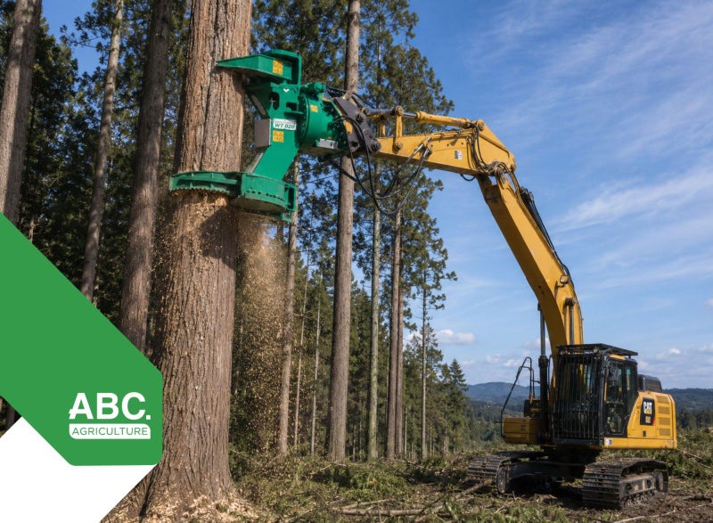 Asset-Backed Tree Contracting Business Carousel 1