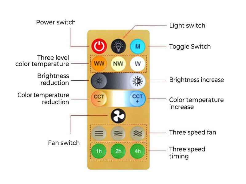 Socket Fan Light Carousel 19