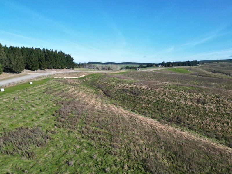 Image 1 of 17