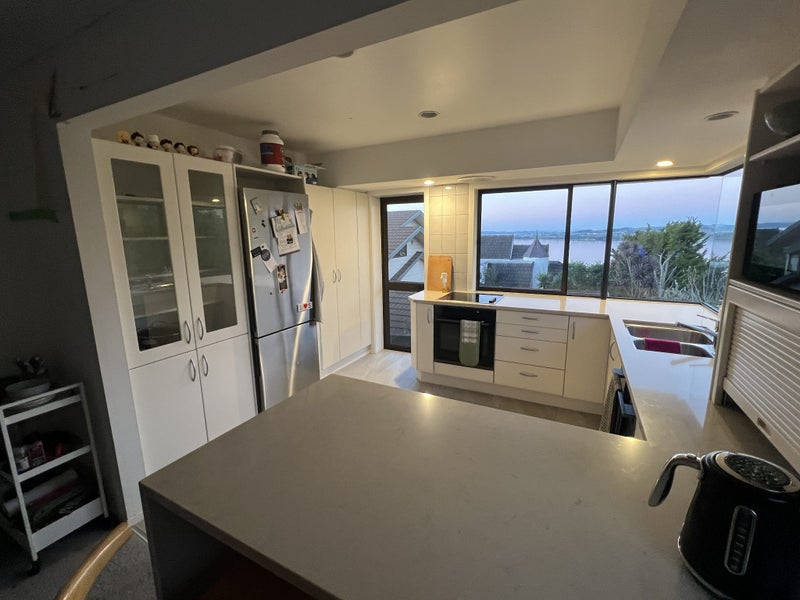 Kitchen and Appliances483825015294545921