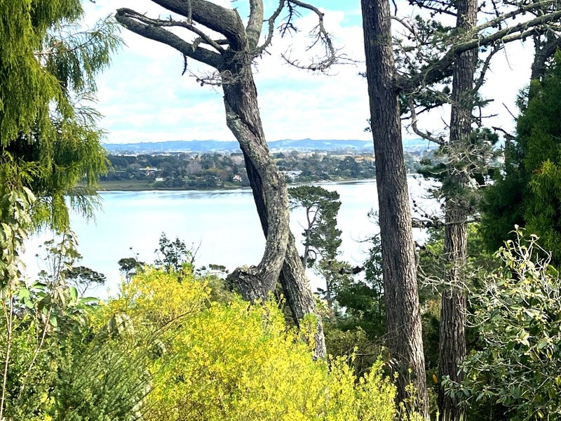 Image 1 of 10