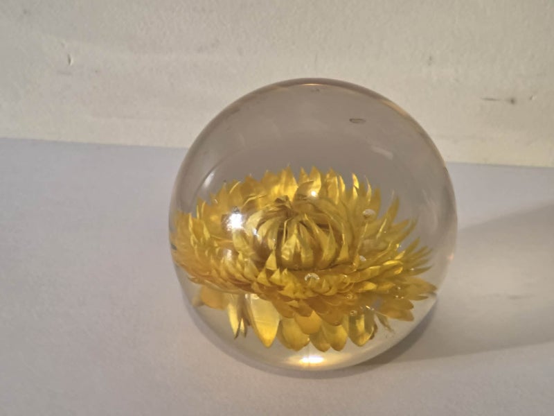 Retro Resin Yellow Helichrysum Flower Paperweight Carousel 1