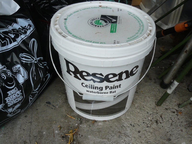 Ceiling Paint Carousel 1