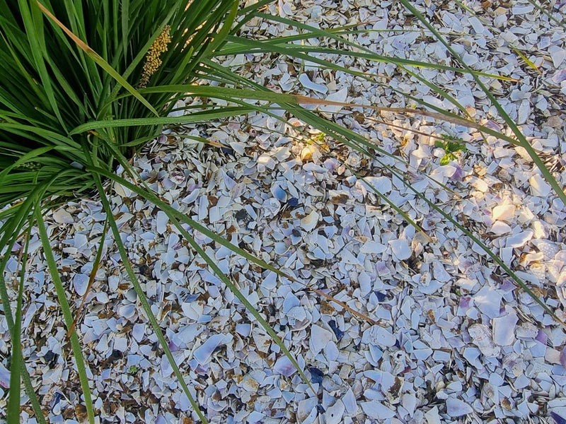 Crushed Mussel Shell Carousel 1