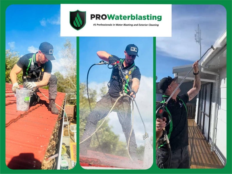 Pro Waterblasting - Rotorua | Taupo Carousel 1