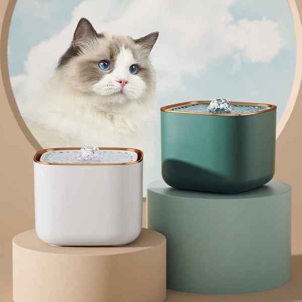 Cat fountain water Carousel 2