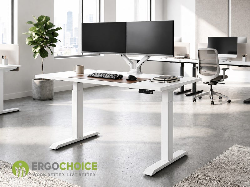 ErgoChoice Standing Desk Adjustable Desk 120cm Carousel 1