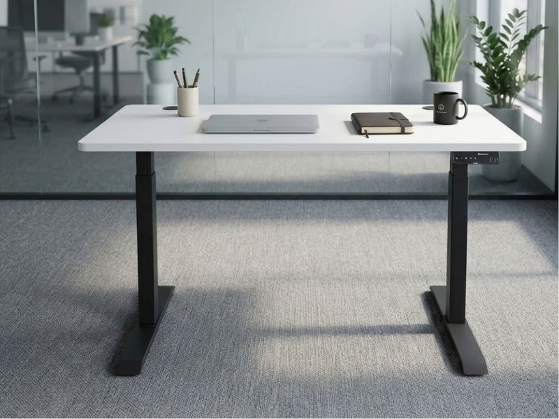 ErgoChoice Standing Desk Adjustable Desk 120cm Carousel 2