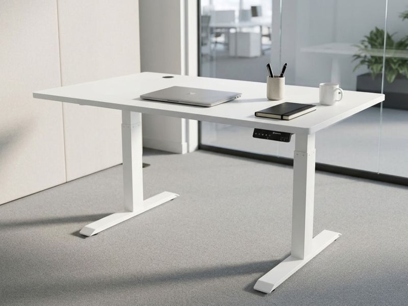 ErgoChoice Standing Desk Adjustable Desk 120cm Carousel 2