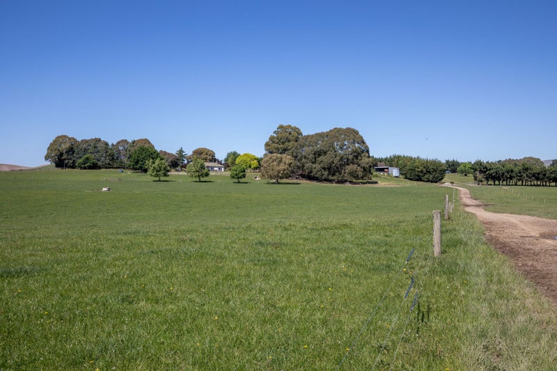 Image 1 of 50