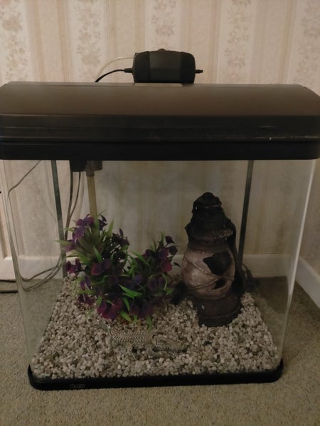 Aqua Style 510 Curved Glass Aquarium and cabinet Carousel 1