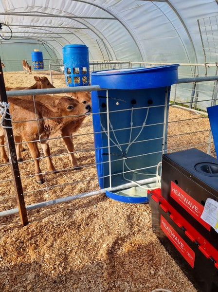 Heatwave Milk Warmer Carousel 5