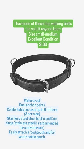 Dog walking belt Carousel 1