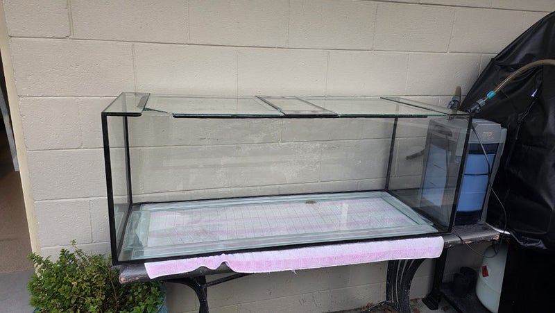 Fish tank, filter and light Carousel 1