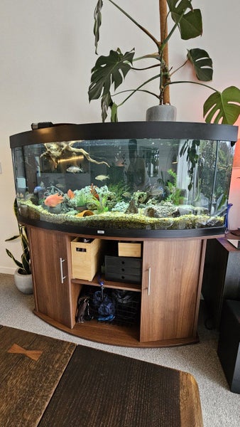 Juwel 450 African Cichlid Aquarium Complete Setup Carousel 1