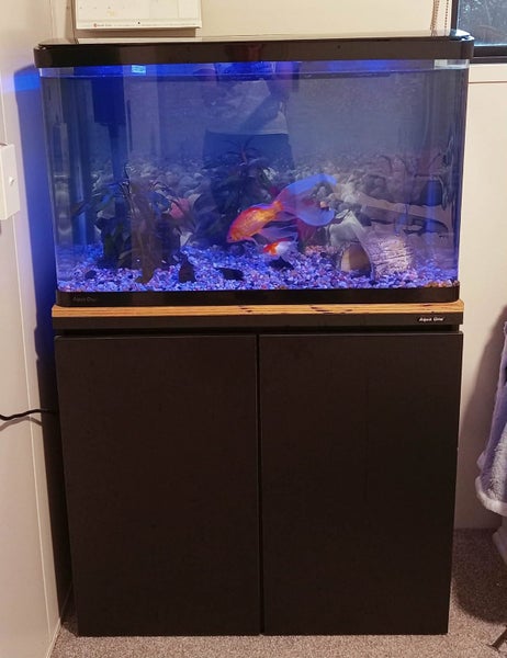 Fish Tank 125L Aqua One Lifestyle & Cabinet Carousel 1
