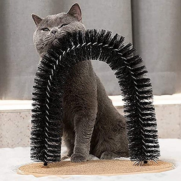 Cat Scratching Arch - Self Grooming & Massage Brush Carousel 2