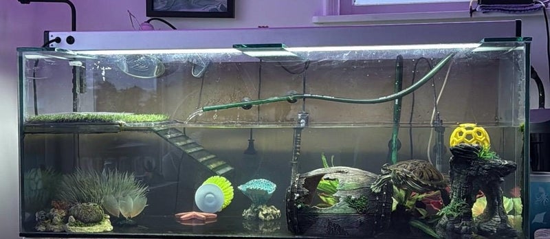 large fish / reptile /turtle tank Carousel 1